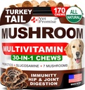 Mushroom for Dogs - 170 Chews - Türkei Tail - Pilzergänzung für Hunde - Lions Mane - Reishi - Immunitätsunterstützung Multivitamin Vitamine - Gemeinsame Gesundheit - Energie - Gut - Haut - Made in USA