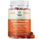 Potent Daily Multivitamin Gummi für Erwachsene - Wellness Mischung aus Vitamin D A C E B12 Zink und Biotin - Adult Vitamin Gummy für Energie und Immunität - Non-GMO Gluten Freie und Halal Gummis 30 Count