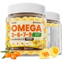 Omega 3-6-7-9 Gummie, Bio Sea Buckthorn Öl 1200MG & Flaxseed Oil 500MG, Vegan Omega 7 Supplement w/Vitamin A, C, E, Fettsäuren, kein Fisch Geschmack, unterstützt Haut, Auge, Immune, Gehirngesundheit, 60 Cts