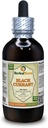 Fekete ribizli (Ribes nigrum) tinktúra, szárított levelek folyékony kivonat (márkanév: HerbalTerra, Proudly Made in USA) 4 fl.oz (120 ml)