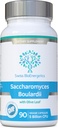 Saccharomyces Boulardi 5 billió CFU 90 kapszula - nem szükséges hűtés - magas szilárdságú, nem-kolonizáló Élesztő szinergista Olive Leaf, biotin és D3- vitamin