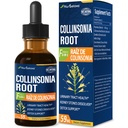 Collinsonia (Stone Root) Drop for Urinary Tract Health, Natural Herbal Formula Supplement w / Stone Breaker Chanca Piedra kivonat támogatás Kidney Stones Dissolver & Detox Cleanse. 2oz