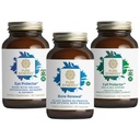 PURE SYNERGY Aging Bundle 124; a csontegészség kalcium-, magnézium- és K2-vitamin-tartalma; az asztaxantin szemegészsége tekintetében 124; a sejtek támogatásának kiegészítése szelénnel, 124; Non- GMO és Vegan