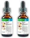 Morter Trace Ásványok kolloid szuszpenzióban (2 csomag) Morter HealthSystem Best Process Alkaline - Nutritent Dense Trace Elements, Fulvic Ásványok & Amino Acids