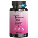 VINATURA Lactobacillus Rhamnosus, Reuteri, gasseri, Plantarum, Crispatus, Acidophilus Probiotics - Probiotics nőknek * USA Made & Tested * Women Vaginal Health, Gut and Digestive Health - 30 kapszula
