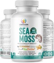 Organic Irish Sea Moss Pills - Wildmacked Dr. Sebi Inspelled Seamoss Blend with Turmeric, Burdock Root & Bladderwrack, Enhanced with Black Pepper - 60 kapszula