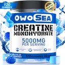 Creatine Monohydrate Gumies for Men & Women 5000mg Creatine Monohydration per Serving for Muscle Support Energy Boost 120 Count Chewable 5g Creatine Supplement Sugar Free Vegan (1 Pack, Blue Málna)