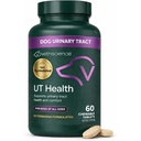 VetriScience Quick Action UT Health Chewable Tablets, UT Strength STAT Slate for Dogs, Cranberry, Uva Ursi, and Chanca Piedra to Soothe Tract Discomfort, Smoke, 90 Count