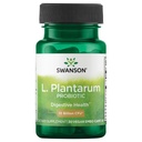 Swanson L. Plantarum - Emésztőrendszeri egyensúly- és Bowel-regularitás - Natural Formula to help reduce bloating - (30 Veggie kapszula)