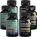 Boysea. Shilajit és Sea Moss Bundle- 90 Count - Sea Moss, Black Seed Oil, Ashwagandha, Ginger & Shilajit, Rhodiola Rosea, Minden 1 kiegészítők (3 Pc)