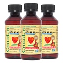REYLIFE ESSENTENALS Liquid Cink Plus gyerekeknek & Toddler - Folyékony kiegészítő cseppek, cink glukonát és réz az immunrendszer támogatására - Mango Strawberry, 4 Fl Oz (3-as csomag)