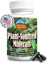 Fulvic Humic Mineral Blend of Trace Minerals, Electrolytes, Gut Health, Cognitive Function, Hydration & Immune Support, Pure Vitality Formule for Wellness - 60 kapszula