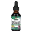 Természet Válasz Enchinacea & Goldenshead Wonder124; Támogatja az egészséges immunrendszert