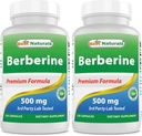 A legjobb természetes Berberine 500 mg 120 kapszula - támogatja az immunfunkciót, a kardiovaszkuláris és gasztrointesztinális funkciót (120 db 2-es csomag)