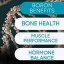 Bór Ásványvíz kiegészítés - 30mg d.m. 124; 60 Gróf 124; Trace Minerals Your body needs to maintain Optimal Health and Wellness.