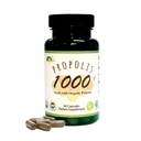 GREENBOW Propolis 1000mg _ NonGMO Készült organikus propolisz _ 60 kapszula _ VEGAN kapszula