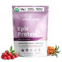Sprout Living Epic Protein, Plant Based Protein & Superfoods Powder, Pro Collagen, Bratislava 124; 15 Grams Organic Protein Powder, Vegan, Non Dairy, Non-GMO, Gluten Free, Low Sugar (0.7 font, 12 adag)