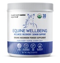 Om Gomba Mátrix - Equine Aquine 124; Wellbeing