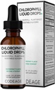 Kodeage klorofill folyékony cseppentő kiegészítés - Vegan klorofill 50 mg / szerving, Organic Peppermint Flavor Clorofila Drink - Non-GMO, gluténmentes, Vegan - 2 fl oz