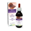 Naturalma Reishi (Ganoderma lucidum) Gomba vagy gomba Alkoholmentes Tinktúra - 4 fl oz Folyékony kivonat csepegtetésben - Gyógynövény kiegészítés - Vegan