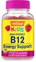 WellJa Vitamin B12 Gummi für Kinder - Boost Energy, Verbesserung der Gehirnfunktion und Stärkung Immunsystem - Non-GMO, Gluten-Free - Great Tasting Berry Flavor - einfach zu kauen - 60 Gummies