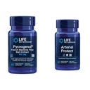 Life Extension Pycnogenol French Maritime Pine Bark & Gotu Kola Artériás egészségügyi kiegészítők - 60 és 30 Vegetáriánus kapszula