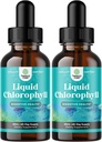 Menta ízesített klorofill folyékony cseppek - Vegán folyékony klorofill cseppek immunszuppresszió Gut Health Skin Care Detox máj támogatás energia és a rossz légzés - magas potencia belső dezodor - 2 Pack