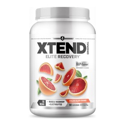 Xtend Original BCAA Powder 7g BCAA and 2.5g L- Glutamin, Sugar Free Post Workout Muscle Recovery Drink with Amino Acids for Women & Women, 90 Servings