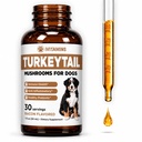 Pulyka Tail Gombóc kutyáknak datolyaszilva 124; Segít a boost The Immune System, egy egészséges prebiotikus, & Sokkal több mint 124; Pulyka Tail kutyáknak