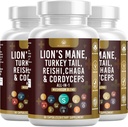 Gomba kiegészítés Oroszlánsörényes pulykafarokkal Reishi Cordyceps Chaga Marshmallow Root - 180 gróf