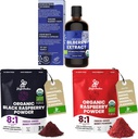 Jungle Powders Wild Bilberry kivonat USDA Organic 3.4oz Flakon, fekete piros málna Powders Bundle 5 Ounce Bag, Fagyasztott száraz málna Sütőtök Dehidratált gyümölcs