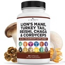 Oroszlánok Mane gomba kiegészítés Törökország Tail Reishi Cordyceps Chaga marshmallow gyökér - 1- Pack