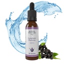 Eltemetett kincses limfóma harmónia cseppek - 2oz, 30 szervák, limfóma kiegészítés takarítók, Burdock, Echinacea, és Astragalus