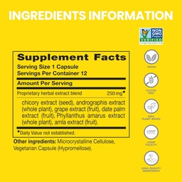 Himalaya PartySmart, 12 Kapszula tubus - Alkohol Breakdown Máj támogatás egy jobb reggel után - Növény alapú, Vegán, Non-GMO, Gluten Free, Klinikailag tanult (csomag 2)