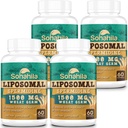 Spermidine kiegészítés 15 MG - 99% tisztaság, magas abszorpció, 1500 MG fermentált búzacsíra kivonat cink & Thiamin, Spermidine férfiaknak és nőknek - Celláris megújulás, öregedés védelem, energia, 240 Softgels