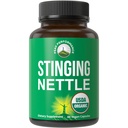 USDA Organic Stinging Nettle Vegan kapszula Készült Stinging Nettle Leaf por prosztata, haj növekedés, allergia. Jobb, mint a gyökér vagy magkivonat. Növényalapú Herb kiegészítő tabletta, 60 tabletta