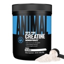 Tier Creatin Monohydrat-Pulver — Mikronisiert für Muskelrückgewinnung, Cellular Energy und Daily Wellness — für Männer und Frauen — Entflammt 300g
