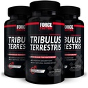 FORCE FACTOR Tribulus Terrestris for men, 3- Pack, Tribulus tesztoszteron booster for men, férfi vitalitás kiegészítés, Tribulus kivonat és természetes összetevők a superior abszorpcióhoz, 1000mg, 180 kapszula