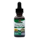 Természet Válasz Dong Quai Womens Support Supplement - Nő hormonális támogatás, Nő Wellness kiegészítés, Folyékony kivonat, Alkohol mentes, Gluten mentes, Kosher - 1 oz