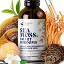HAPPY FOX Ír-tengeri Moss Folyékony cseppfolyók és gombák Tinktúra - Seamoss 7 Adaptogén gombakivonatok kognitív támogatás & Gut Health, Gumoom kávé Elixir, Pure Vanilla Flavor