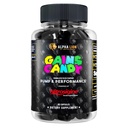 ALPHA LION Gains Candy, kiegészítő tabletták izompumpa és vér áramlás, nitrogén-oxid booster, támogatja a mentális fókusz, használja a napi továbbfejlesztett edzés teljesítmény, 63 kapszula (Nitrozigin)