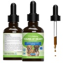 Kisállat Wellbeing Young at Heart for Dogs - Heart Health, Circulatory & Cardiovascularis System, Hawthorn, Anyaorbáncfű, Schisandra - Veterinarián- Formulált gyógynövény kiegészítés 2 fl oz (59 ml)