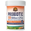 Vitaliown probiotics 120 billion CFU, 36 Strains, Prebiotics, Digesztikus Enzimek férfiaknak, Késleltetett kiadás, Tartály stabil, On The Go Digestive Support, 30 Veg Caps