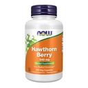 JETZT Nahrungsergänzungsmittel, Hawthorn Berry 540 mg, Free Radical Scavenger*, Kräuterergänzung, 100 Veg Kapseln