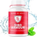 SIBO A124; IBS Relief (klinikai fokozatú kezelés) Bloating, Hasmenés, Leaky Gut, Gáz 124; Késleltetett kiadás Peppermint A124; Kiegészítés Hatékony Irritábilis Bowel-szindróma & Kis Inventine Bacteria Overgrowth