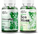 Wild & Organic Chlorophyll Gumies & Sea Moss Gumies