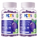 Háziállatok Legtisztább Glucosamine Chondroitin Gumies MSM & Elderberry Extra Strength - Közös támogatás, Antioxidáns Immunszuppresszív Supplement felnőtteknek, férfiaknak és nőknek.