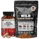 DailyNutra KSM 66 Ashwagandha (90 kapszula) és Mushroom Cacao Mix (16oz)