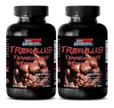 tabletta a férfiak szex hosszú és erős - TRIBULUS TERRACIS EXTRACT 1000MG - MUSCLE STRENGTH, férfi termékenységi booster, férfi libidó tabletták, férfi szex tabletták, férfi javítása, állóképesség booster, 2B 120 tabletta