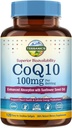 Terranics CoQ10 100 mg, 120 Softgels, Extra Virgin Olive Oil, Heart Health & Energy Production